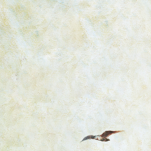 新婚之夜日逼视频
