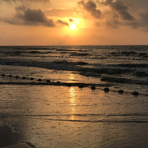 新婚之夜日逼视频
